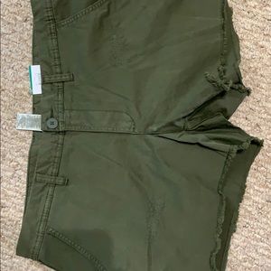 New with tags shorts olive green size 16